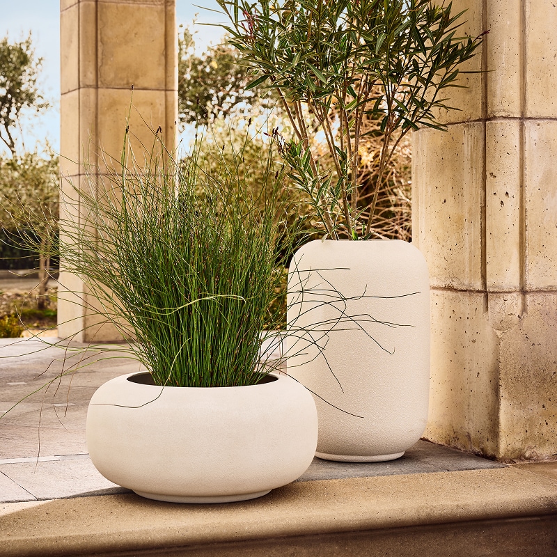 CB2-UAE-ENG-HP-2Oct26-Planters-Block.jpg